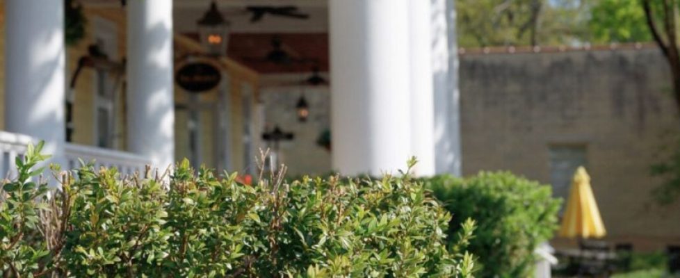 august blog header - 2025