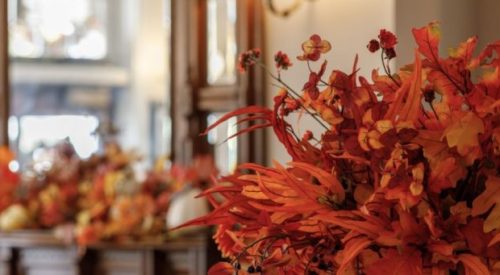 Website-blog-header-1