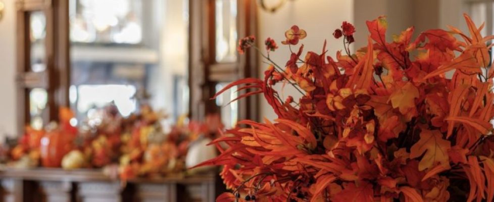 Website-blog-header-1