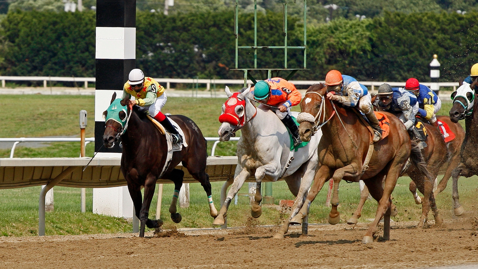 Thoroughbred horse race on a dirt track with several jockeys in colorful silks.