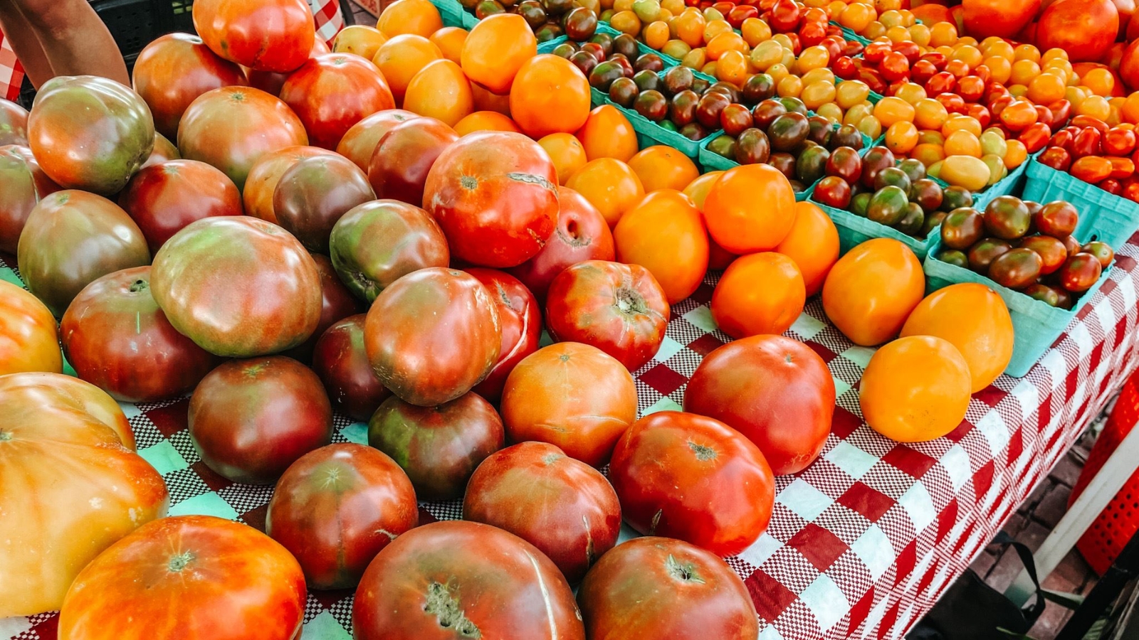 Ashland farmers market Heap of colorful heirloom tomatoes on a market stall with a red-and-white checkered tablecloth.