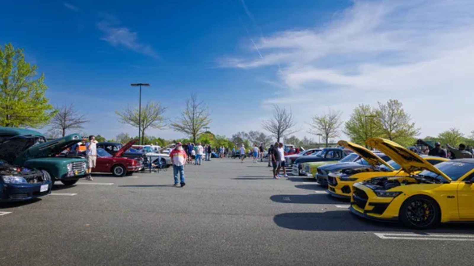 Car show in a parking lot with rows of colorful cars and people walking around under a sunny blue sky with open hoods on display.