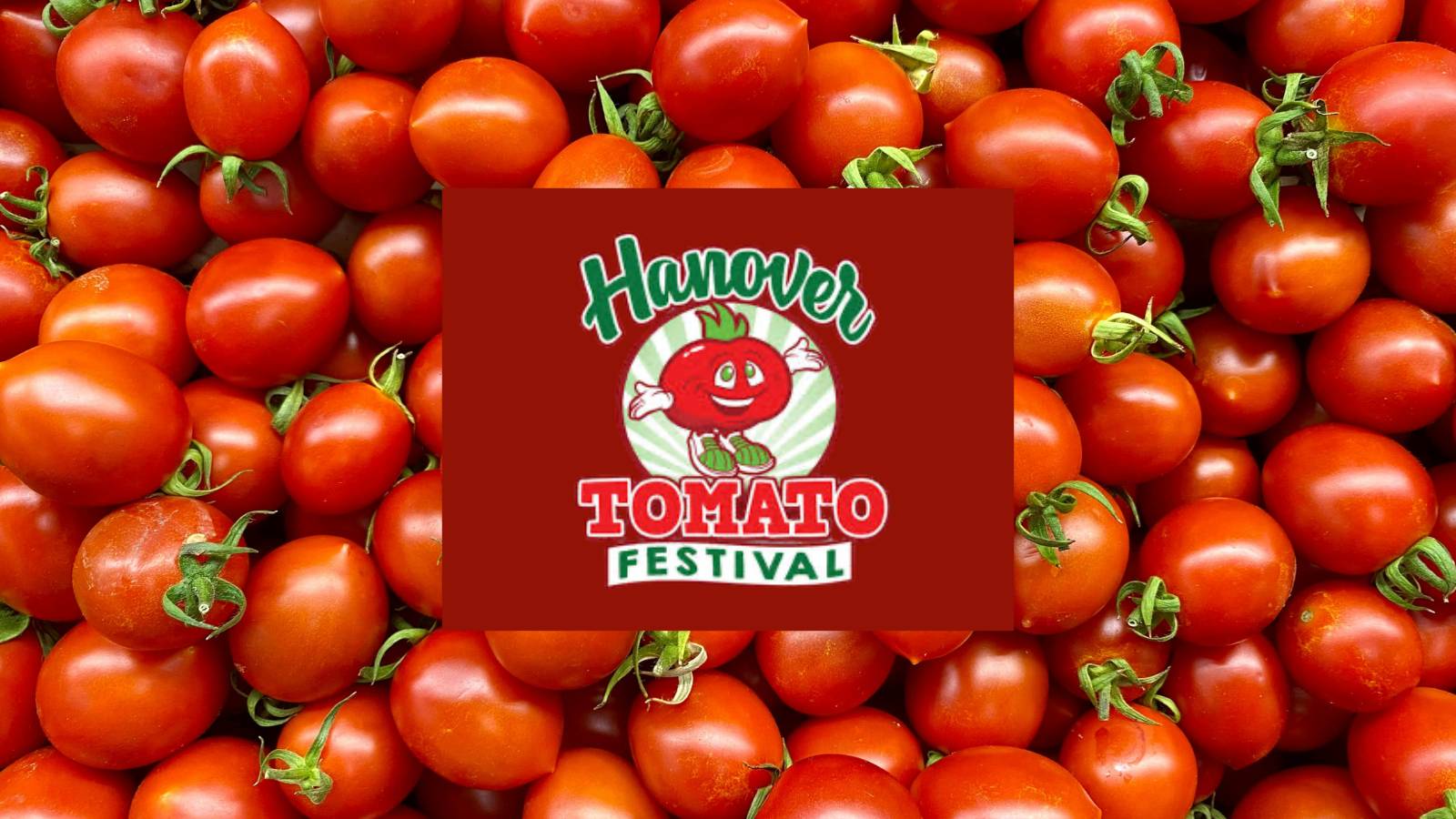 Red tomatoes fill the background with a centered red square logo for Hanover Tomato Festival featuring a smiling cartoon tomato mascot.