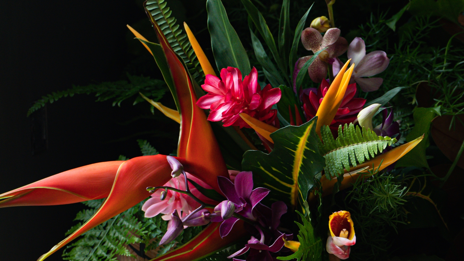 Colorful tropical bouquet with orange bird-of-paradise, magenta heliconia, purple orchids, and lush green foliage against a dark background.