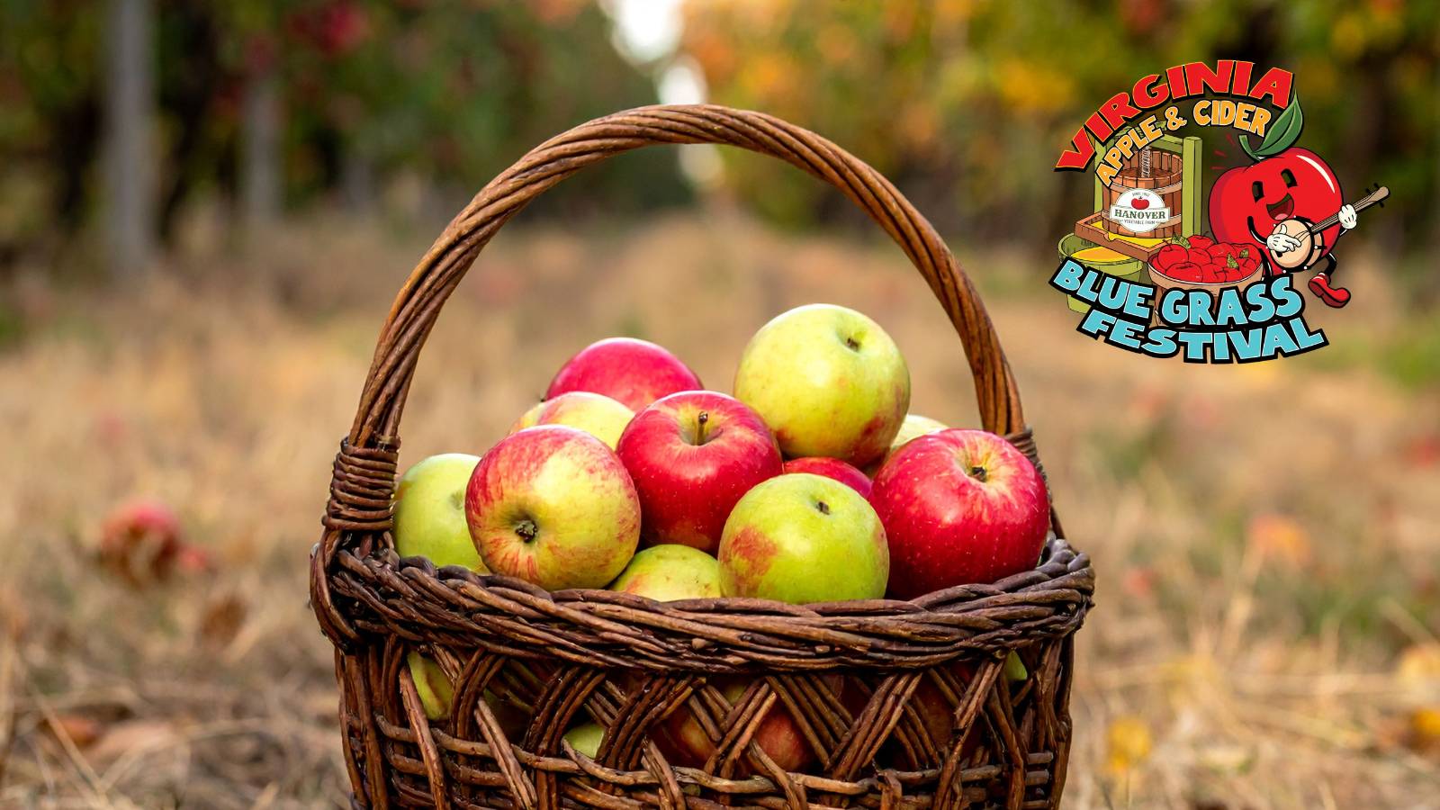 Basket of red and green apples in a woven basket in a fall field, with a Virginia Apple & Cider Blue Grass Festival logo in the corner.